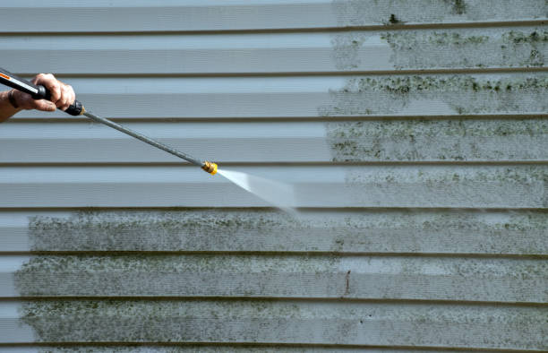 Trusted Auburn, IL Pressure Washing Services Experts