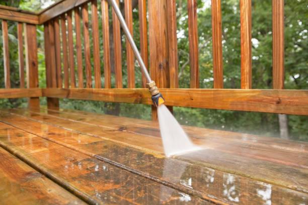 Best Restaurant Pressure Washing  in Auburn, IL